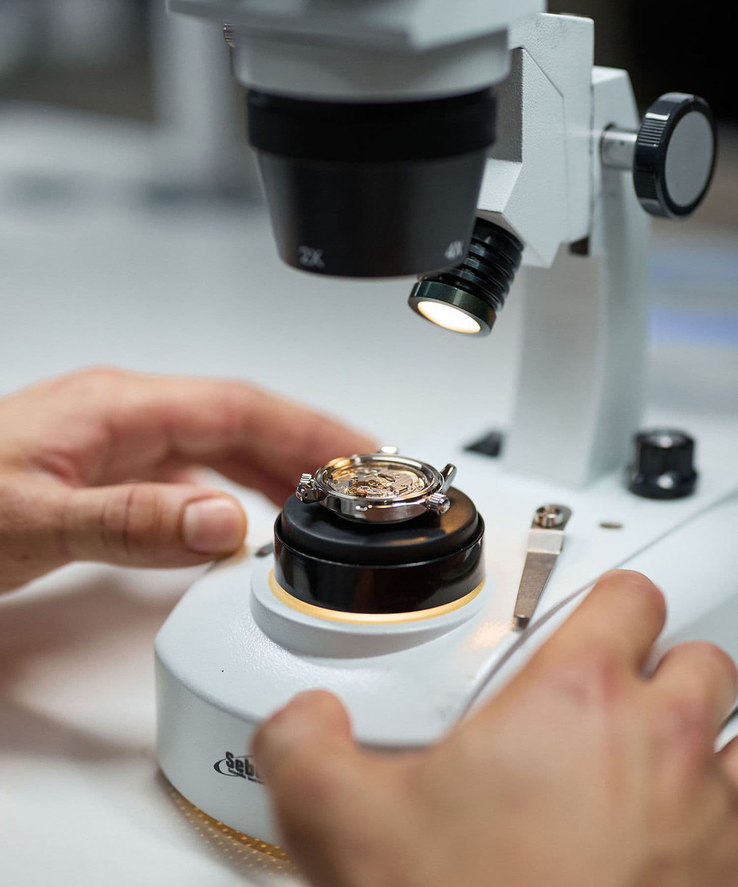 watch movement placed under a microscope